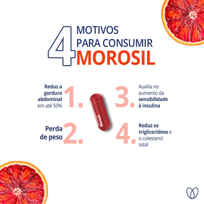 morosil original